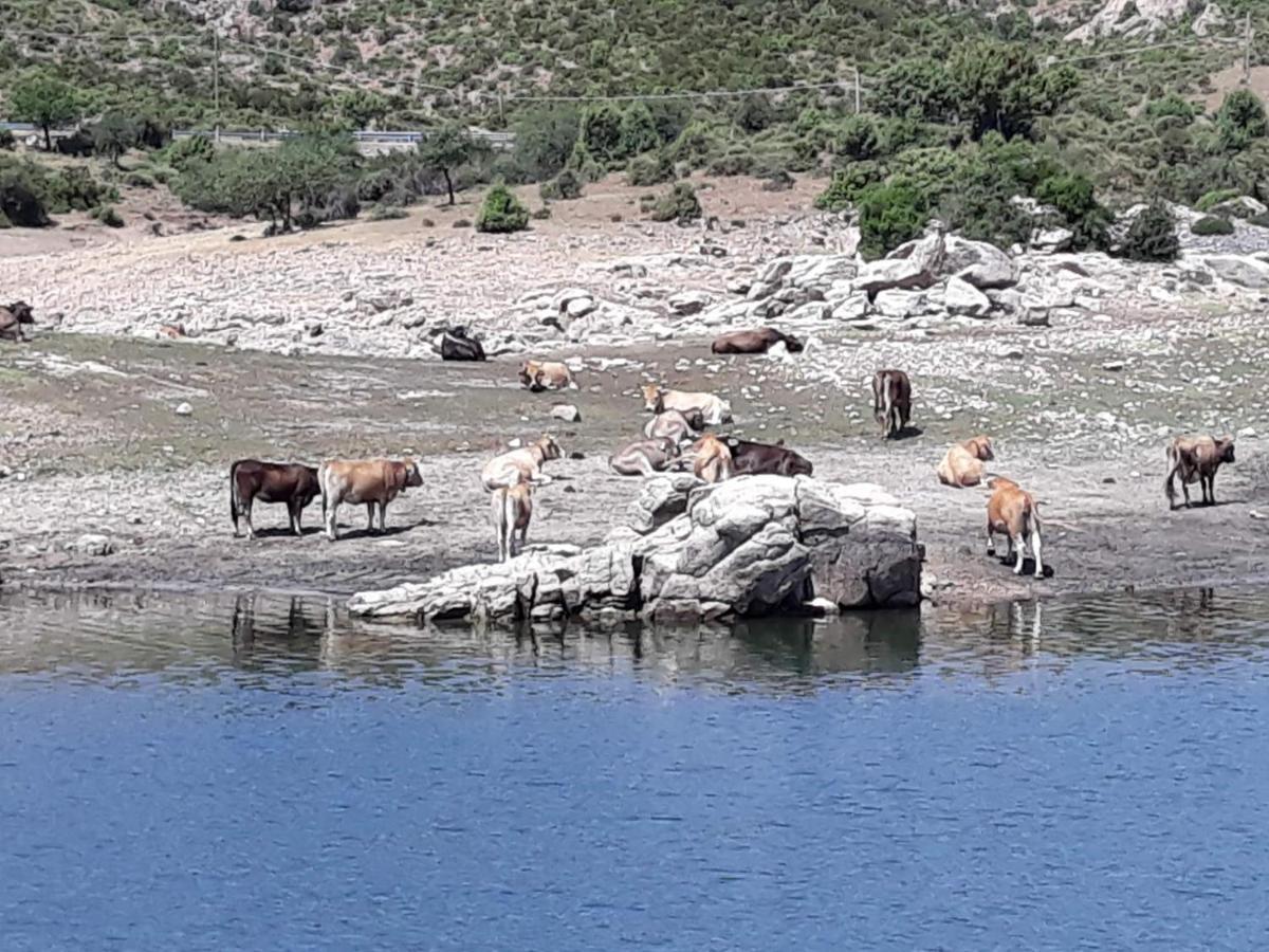 Il Sughereto Àrbatax Kültér fotó